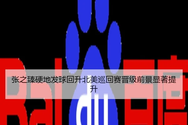 张之臻硬地发球回升北美巡回赛晋级前景显著提升