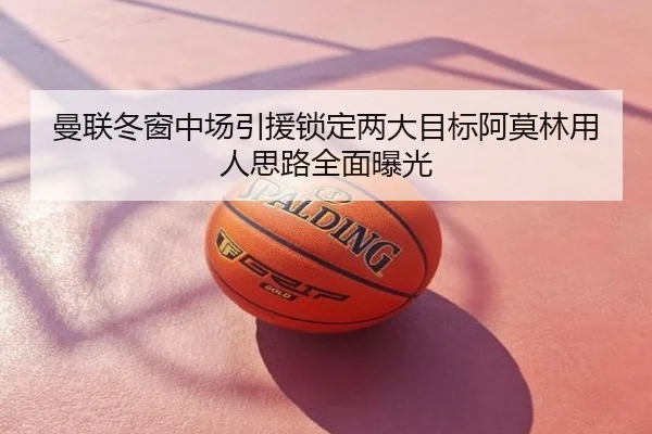 曼联冬窗中场引援锁定两大目标阿莫林用人思路全面曝光